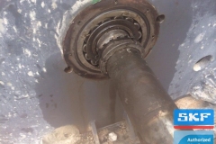 galerry-image-00078_v1