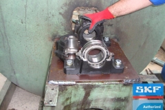 galerry-image-00133_v1