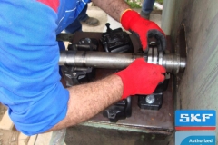 galerry-image-00134_v1