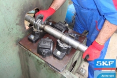 galerry-image-00136_v1