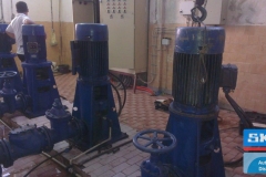 galerry-image-00146_v1