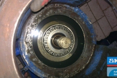 galerry-image-00147_v1