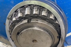 gallery-image-00446_v1